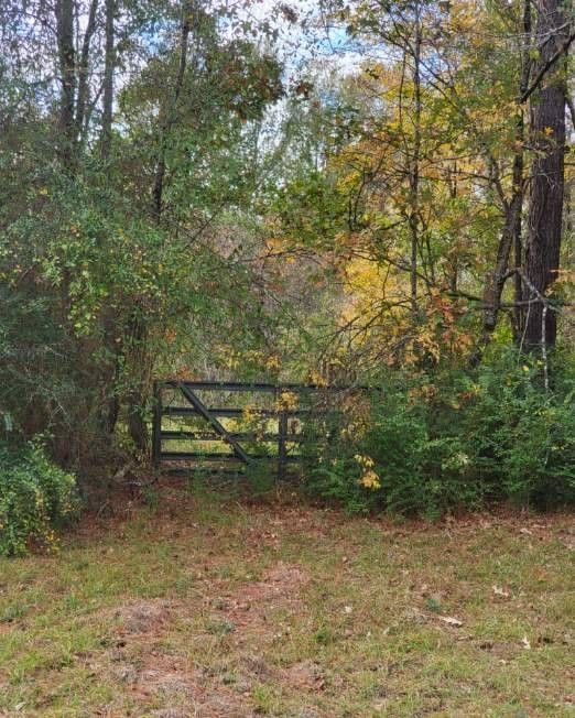 66 acres in Sabine Parish, Louisiana