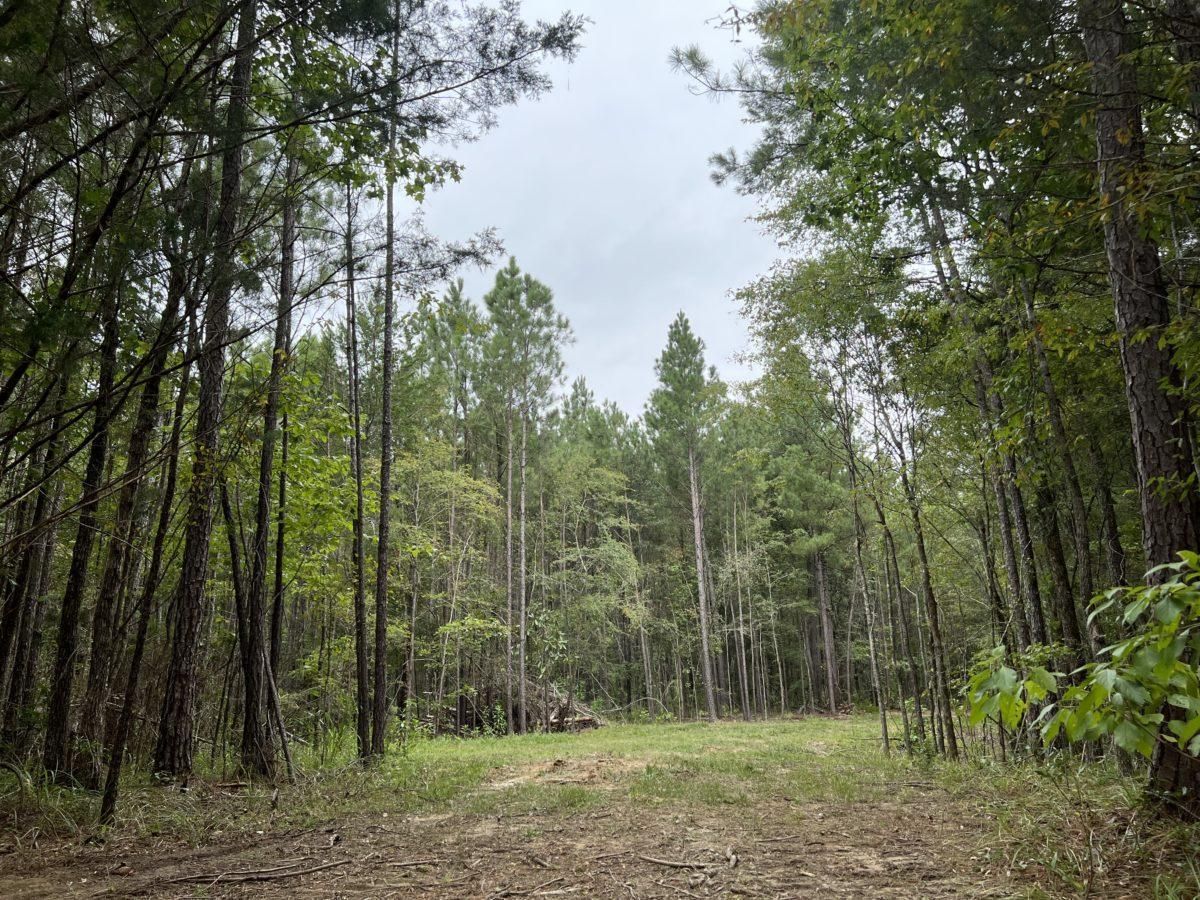 10 acres in Rankin County, Mississippi