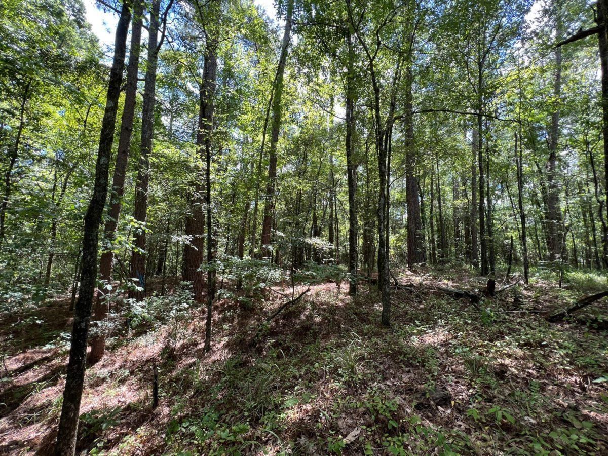 7 acres in Hinds County, Mississippi
