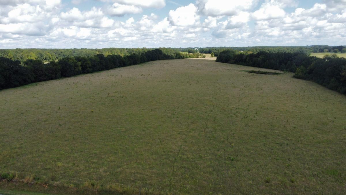 40 acres in Madison County, Mississippi