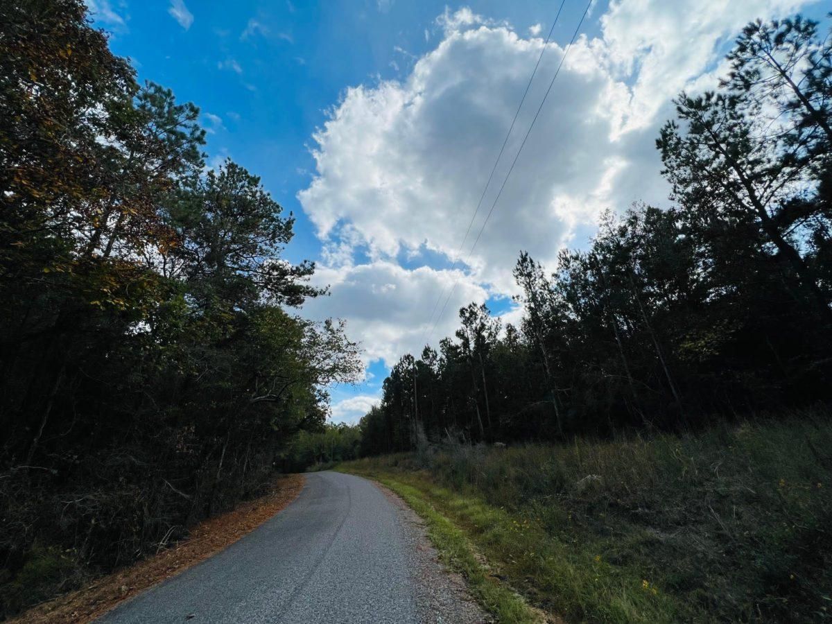 9 Acres, Simpson County, MS, Magee, MS 39114