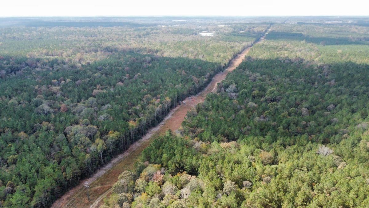 15 acres in Simpson County, Mississippi