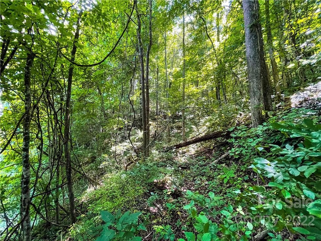 17 acres in Madison County, North Carolina