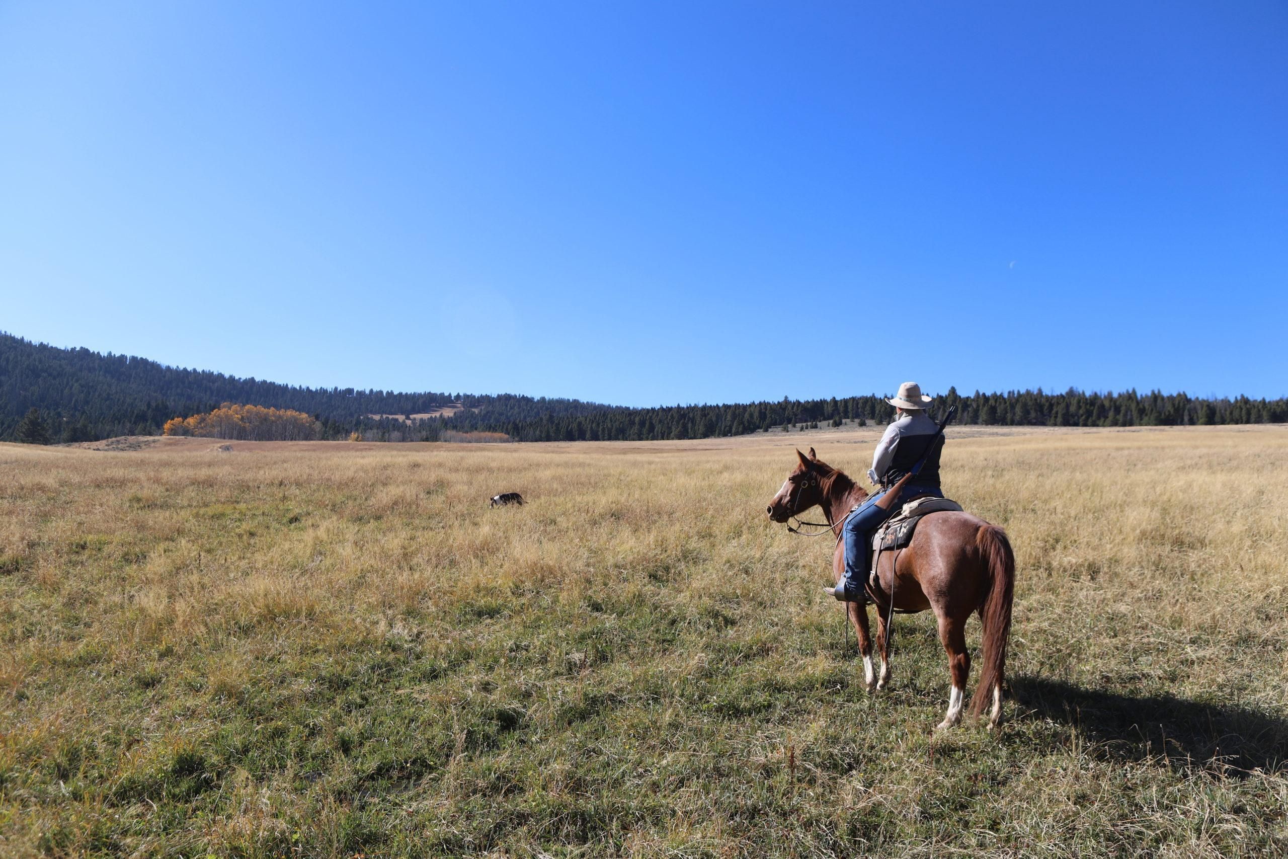 136 acres in Lemhi County, Idaho