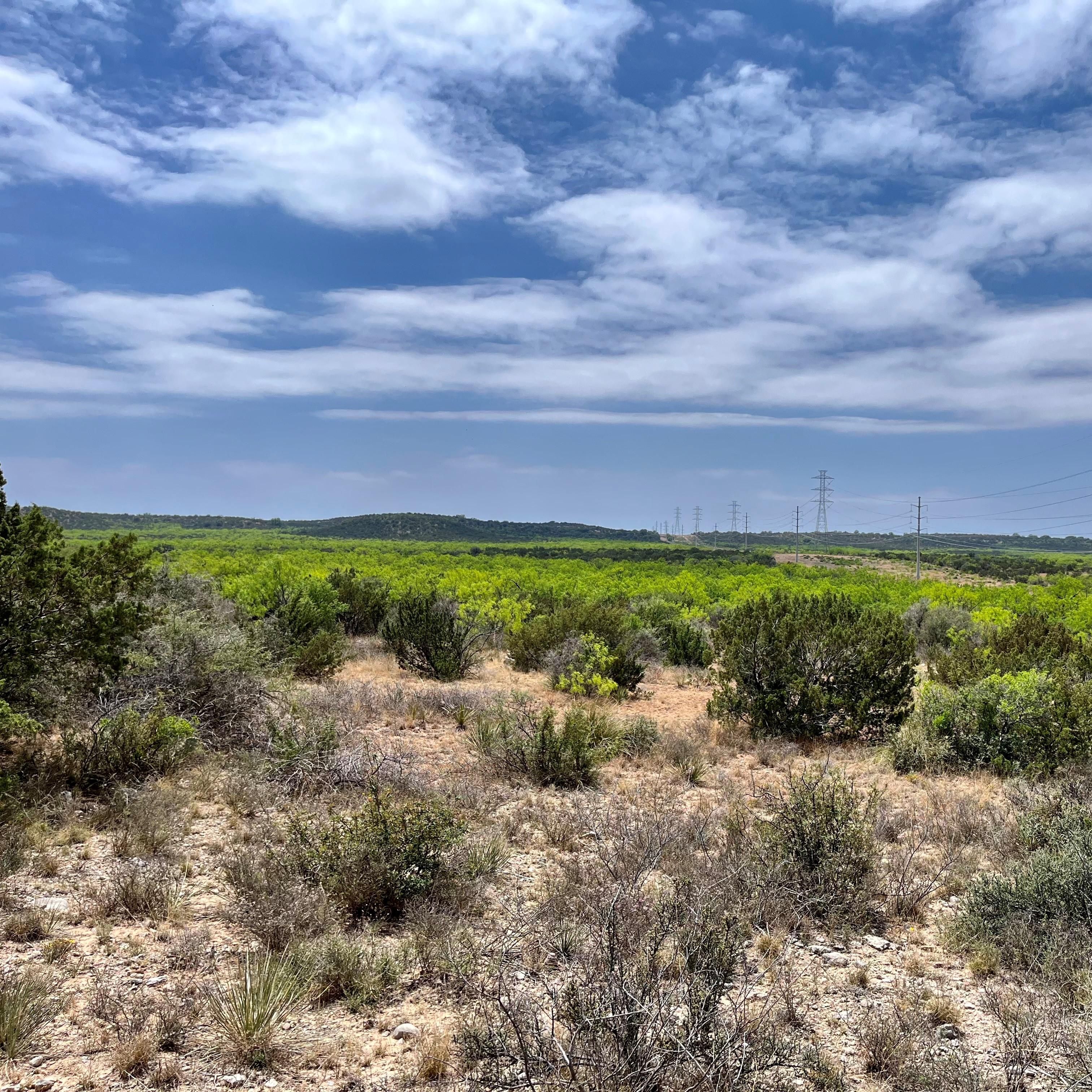 101 acres in Tom Green County, Texas