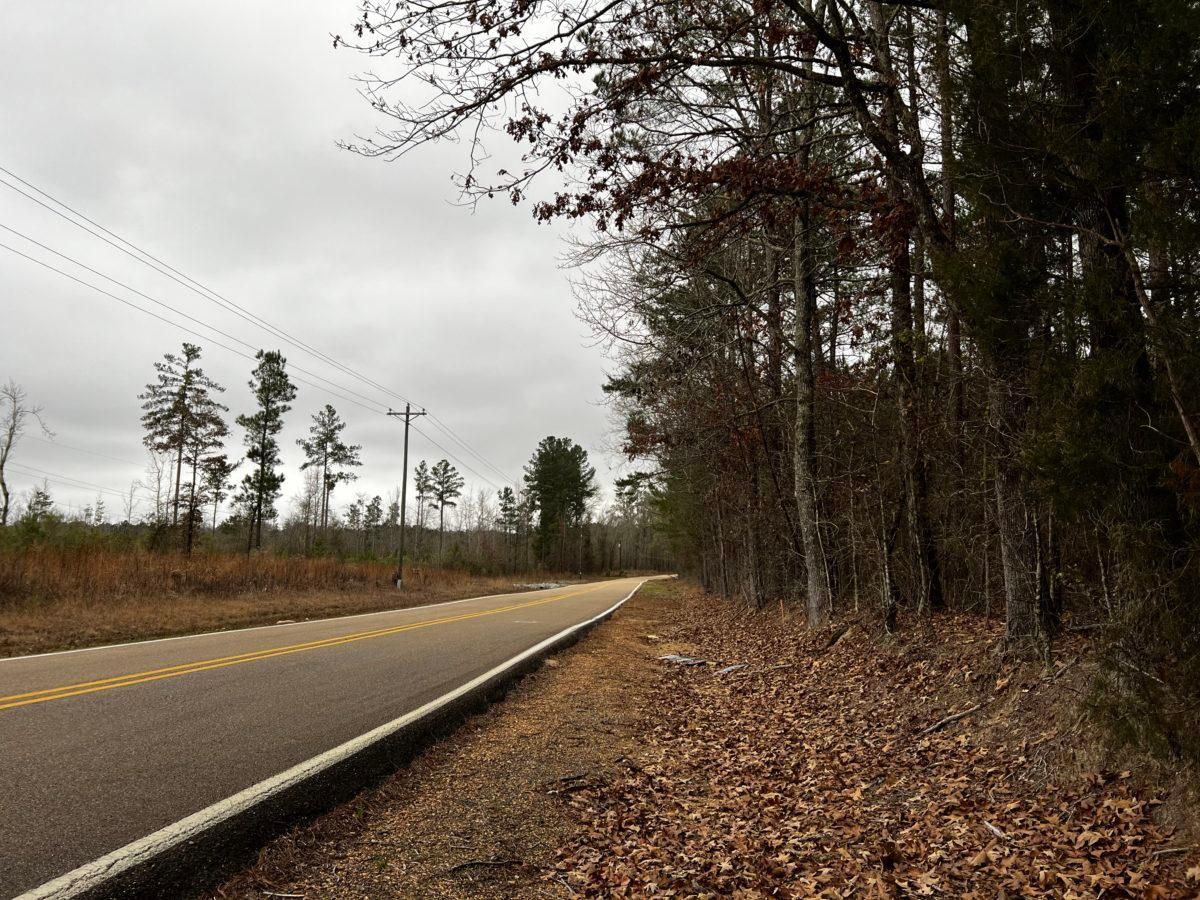 25 Acres, Rankin County, MS, Sand Hill, MS 39047