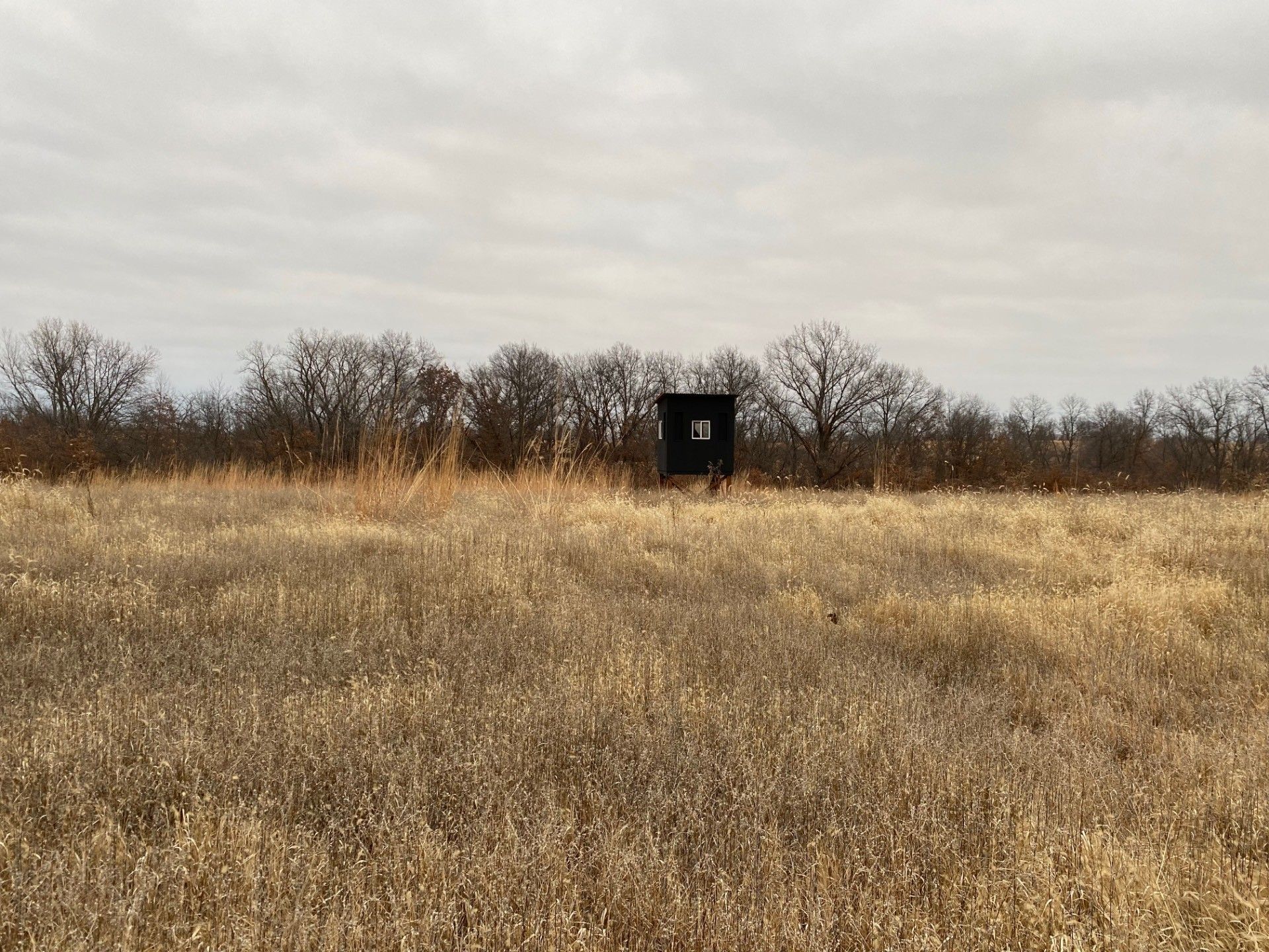 100 acres in Grundy County, Missouri