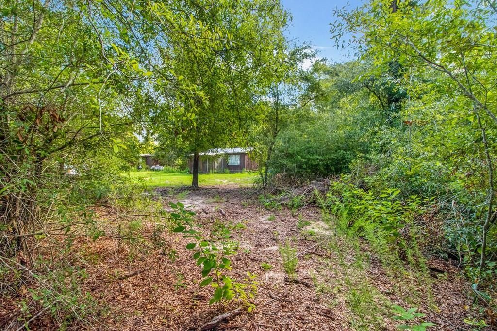 7 acres in Houston County, Alabama