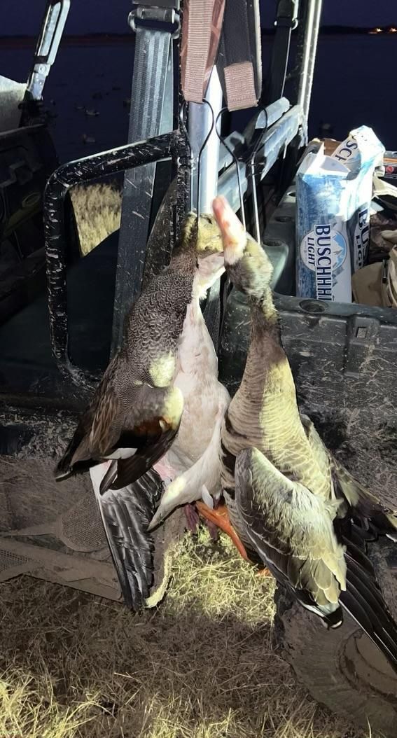 253 acres in East Carroll Parish, Louisiana