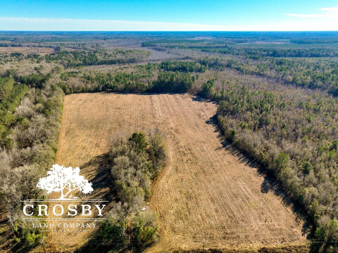 110 acres in Colleton County, South Carolina