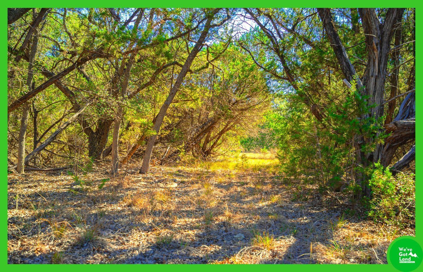 2 acres in Comal County, Texas