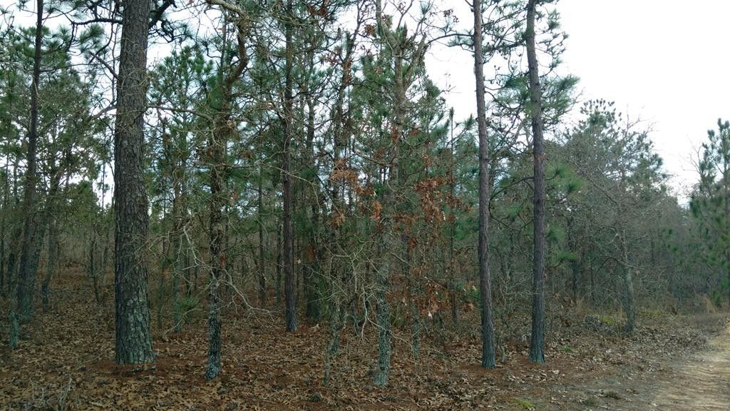 4 acres in Marion County,