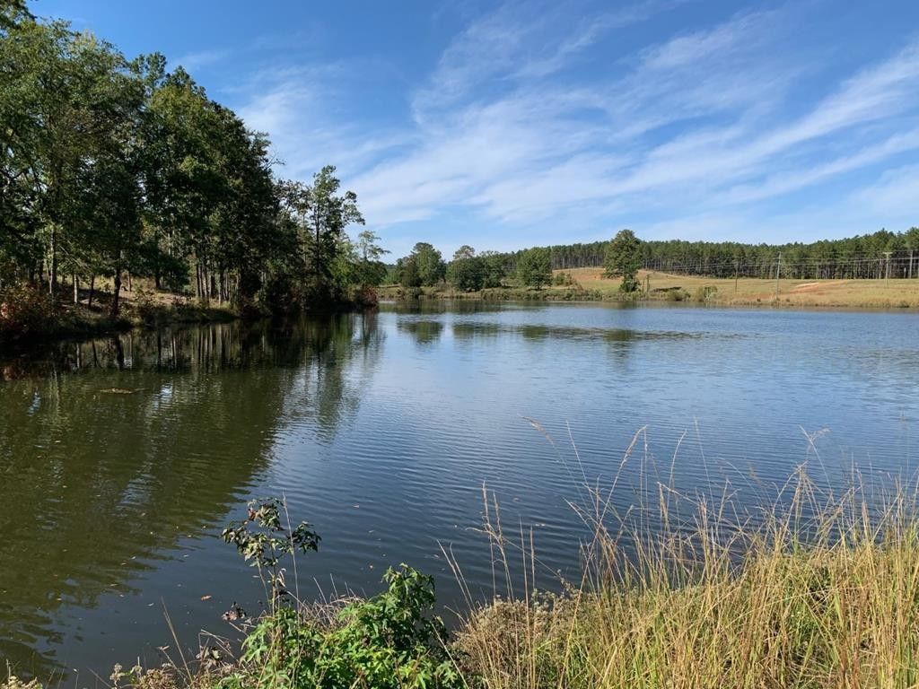 546 acres in Wilkes County,