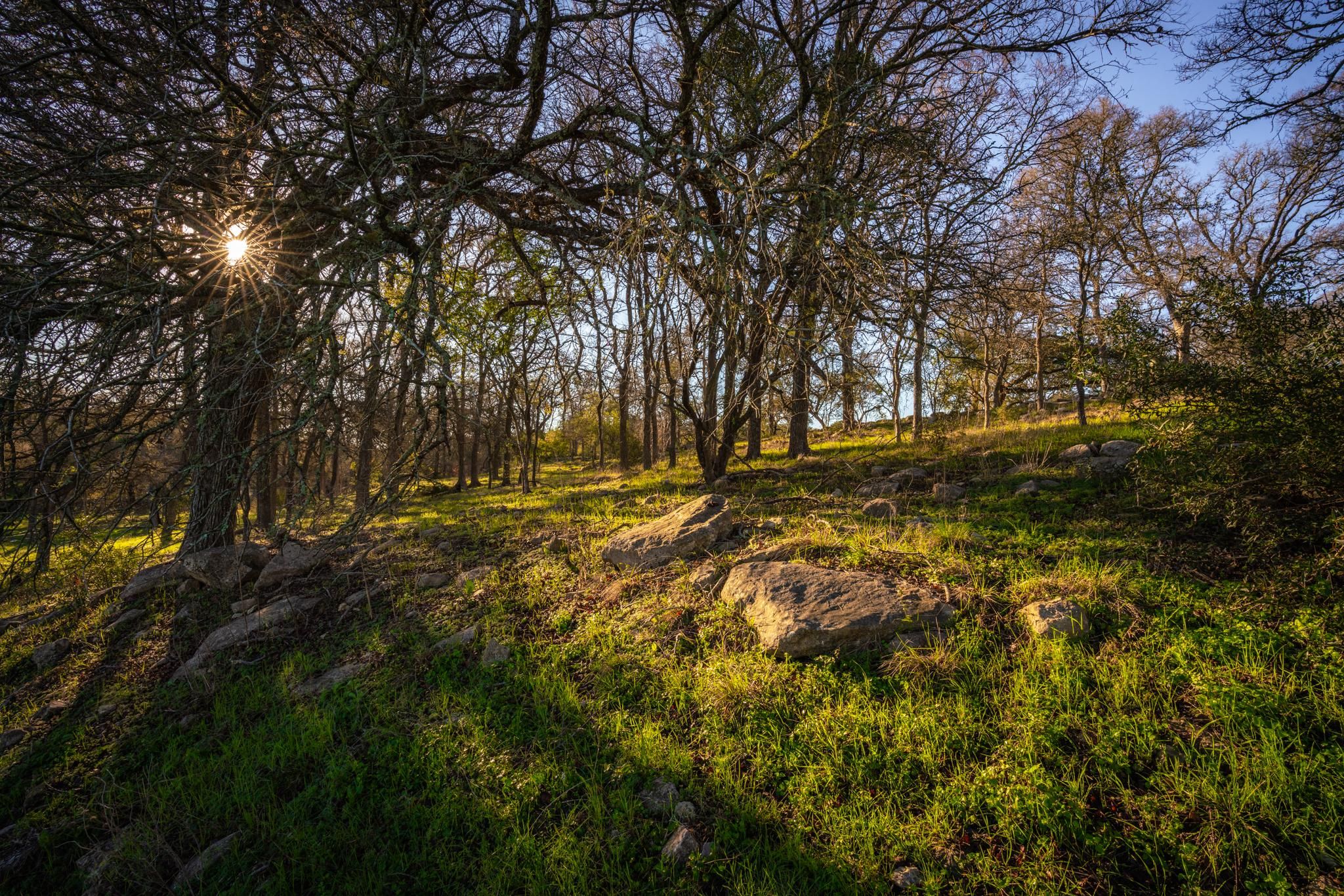 24.6 acres in Dripping Springs, TX, 78620