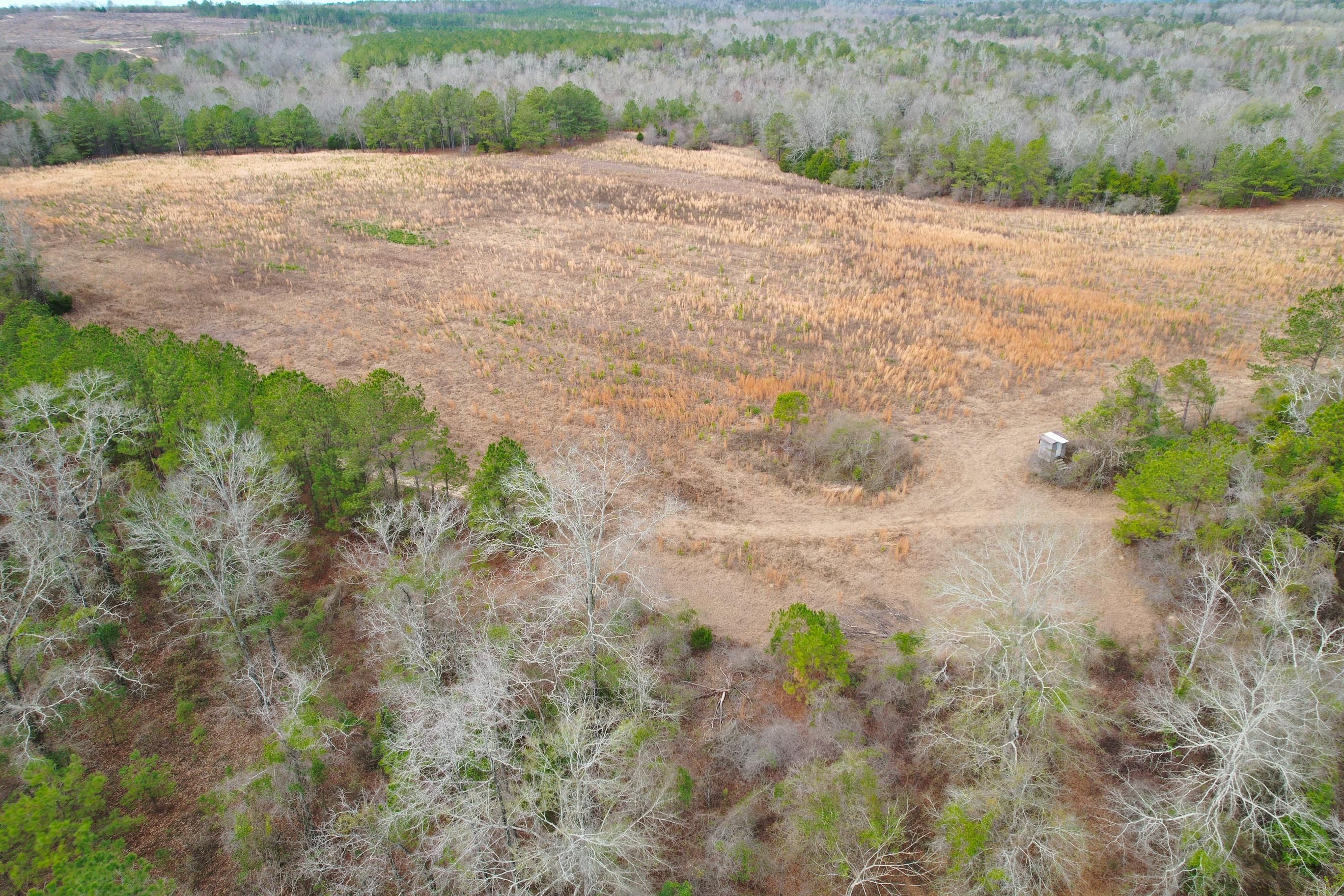 County Road 59, Prattville, AL 36067