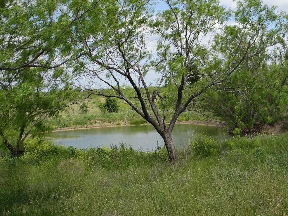 218 acres in Malone, TX, 76660 MLS 20209293