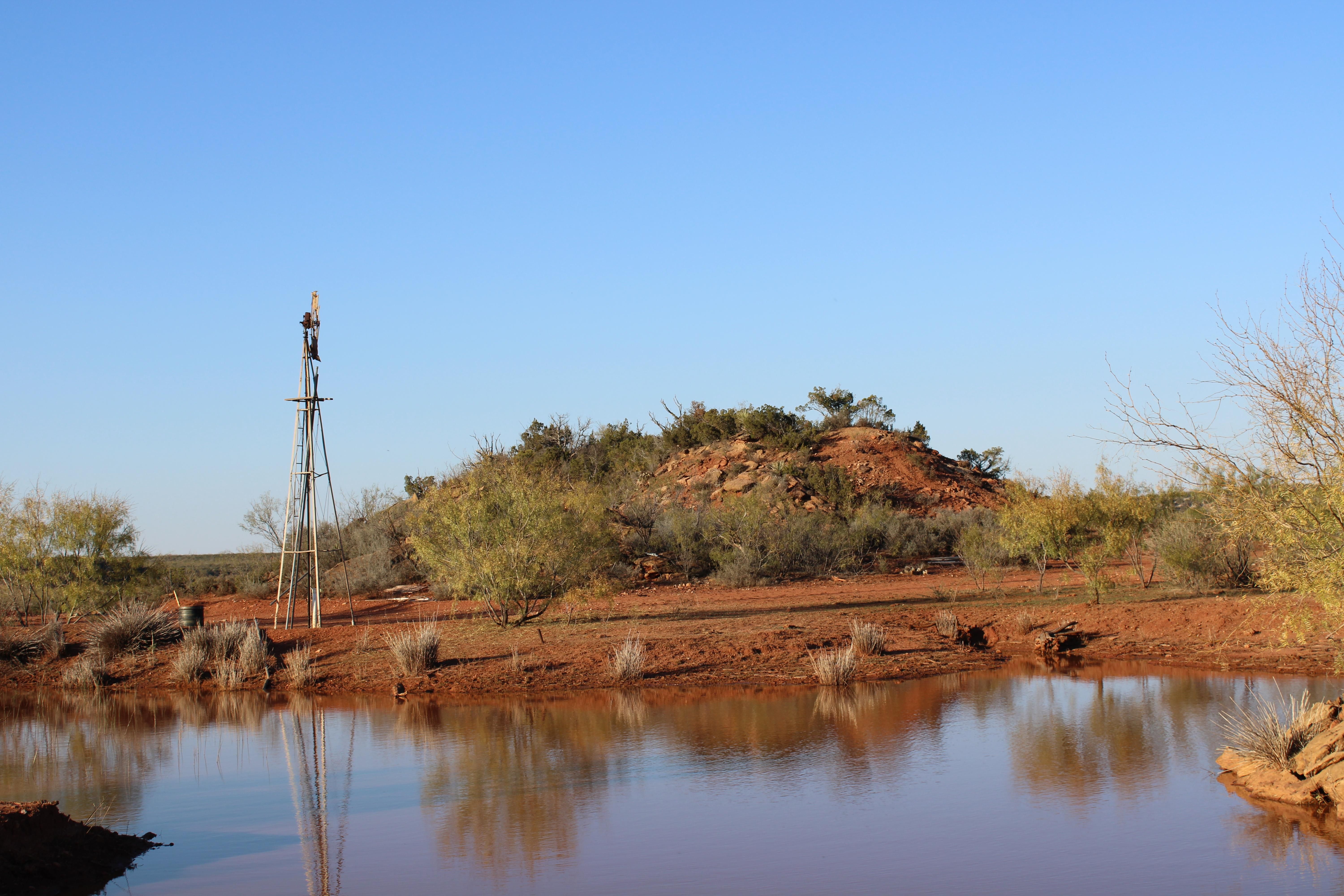 185.51 acres in Bronte, TX, 76933 MLS 111600