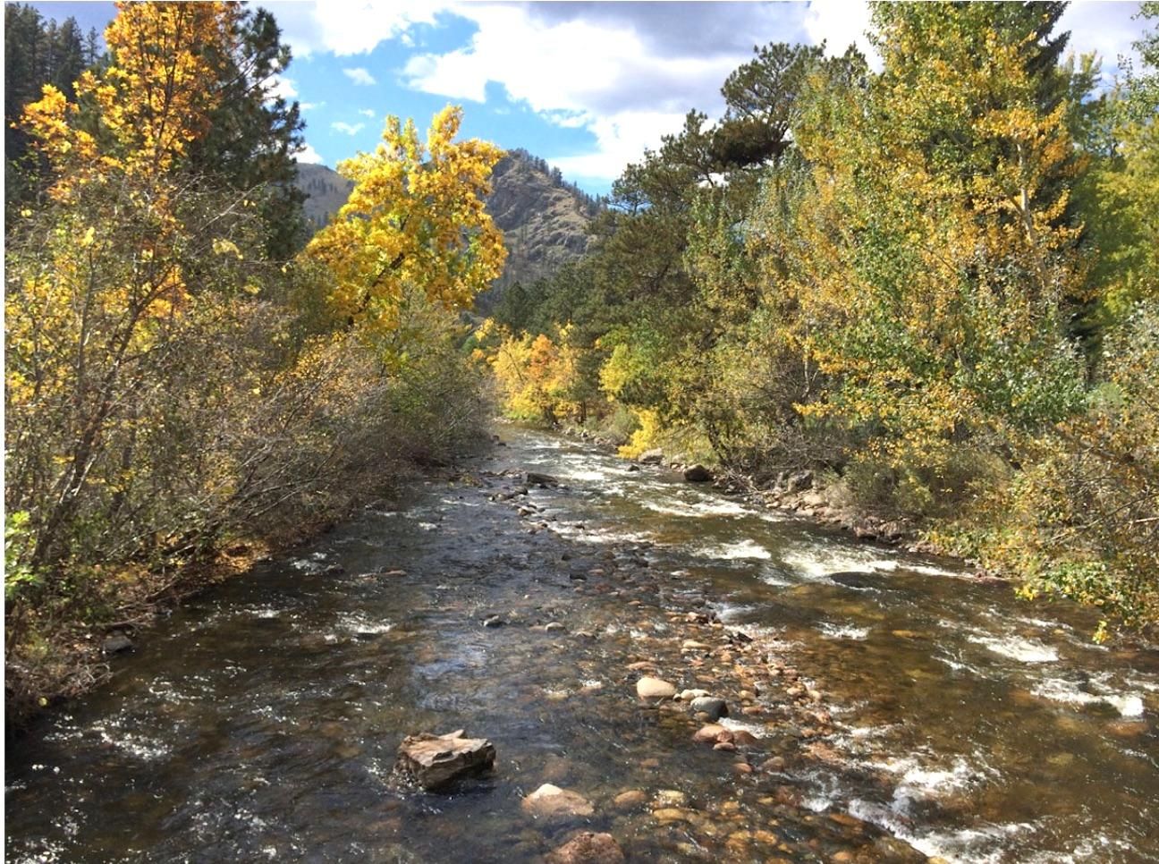 20 acres in Routt County, Colorado