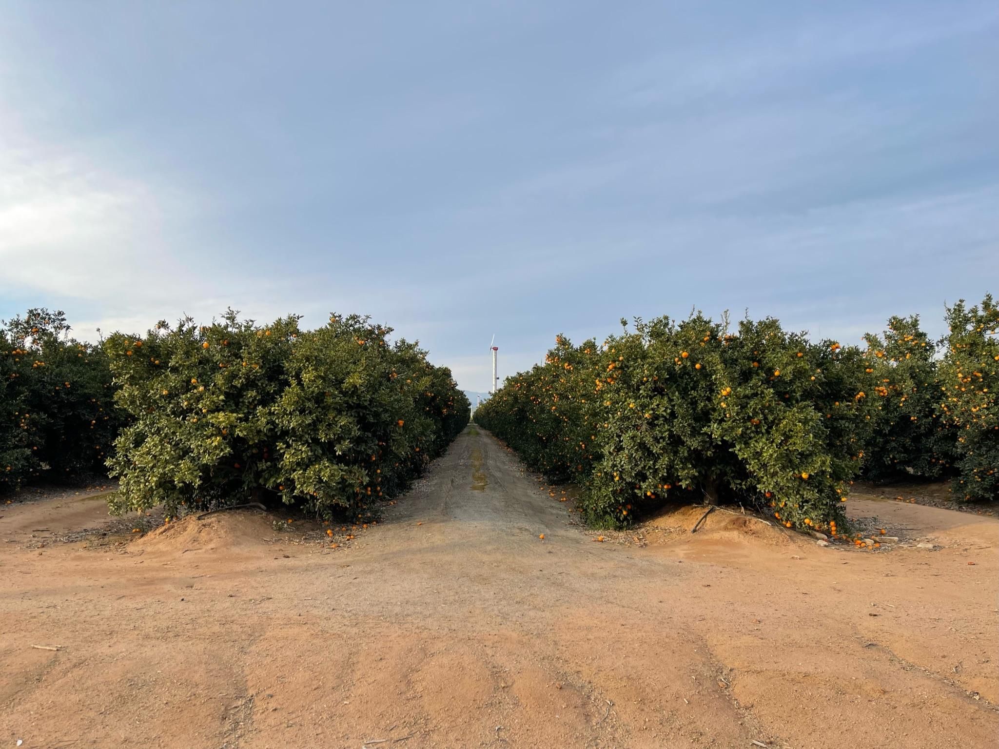 40 acres in Fresno County, California
