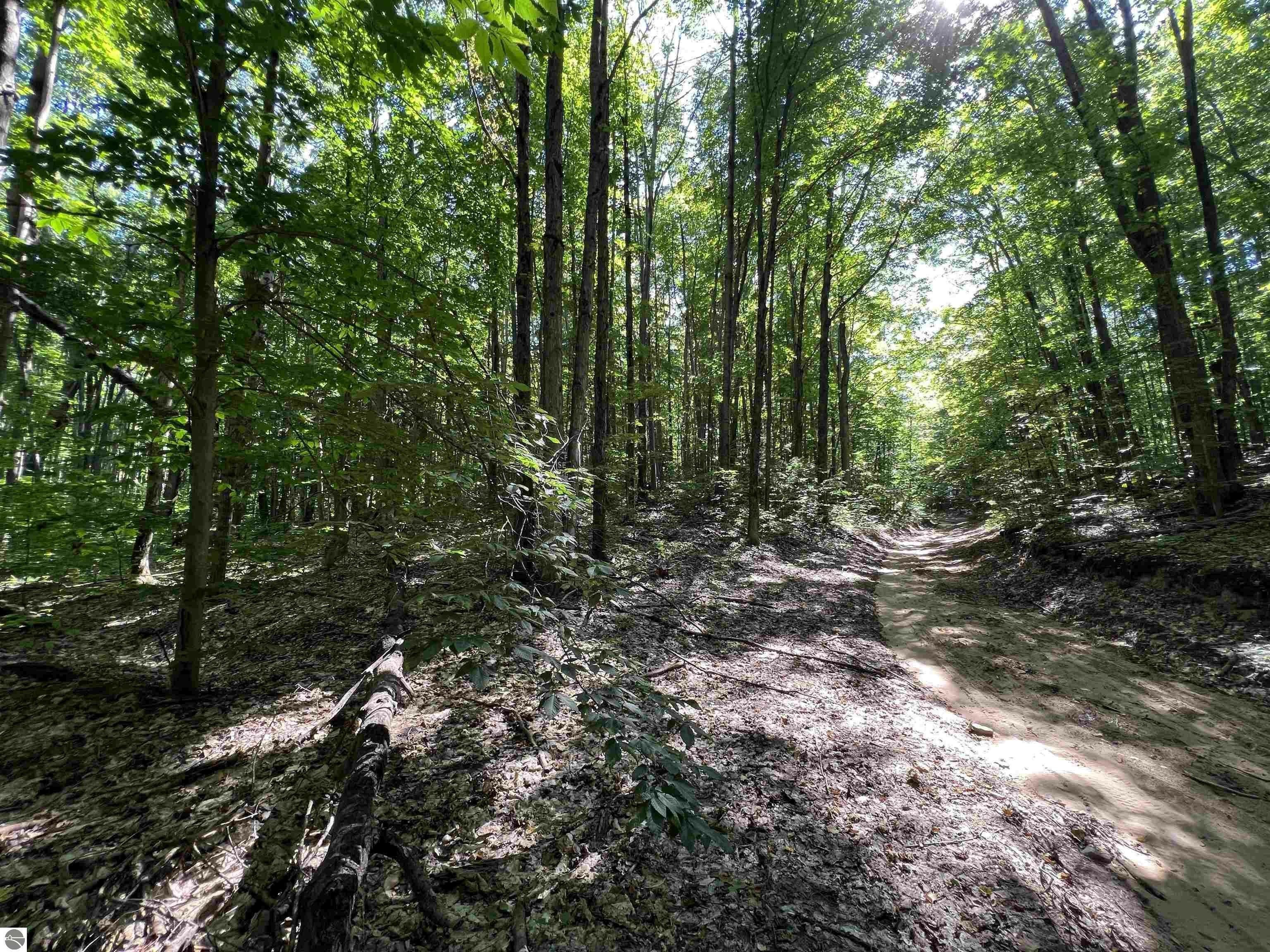 10 acres in Antrim County, Michigan