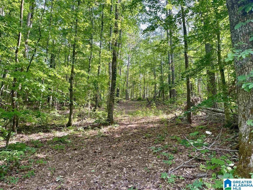 34 acres in Saint Clair County, Alabama