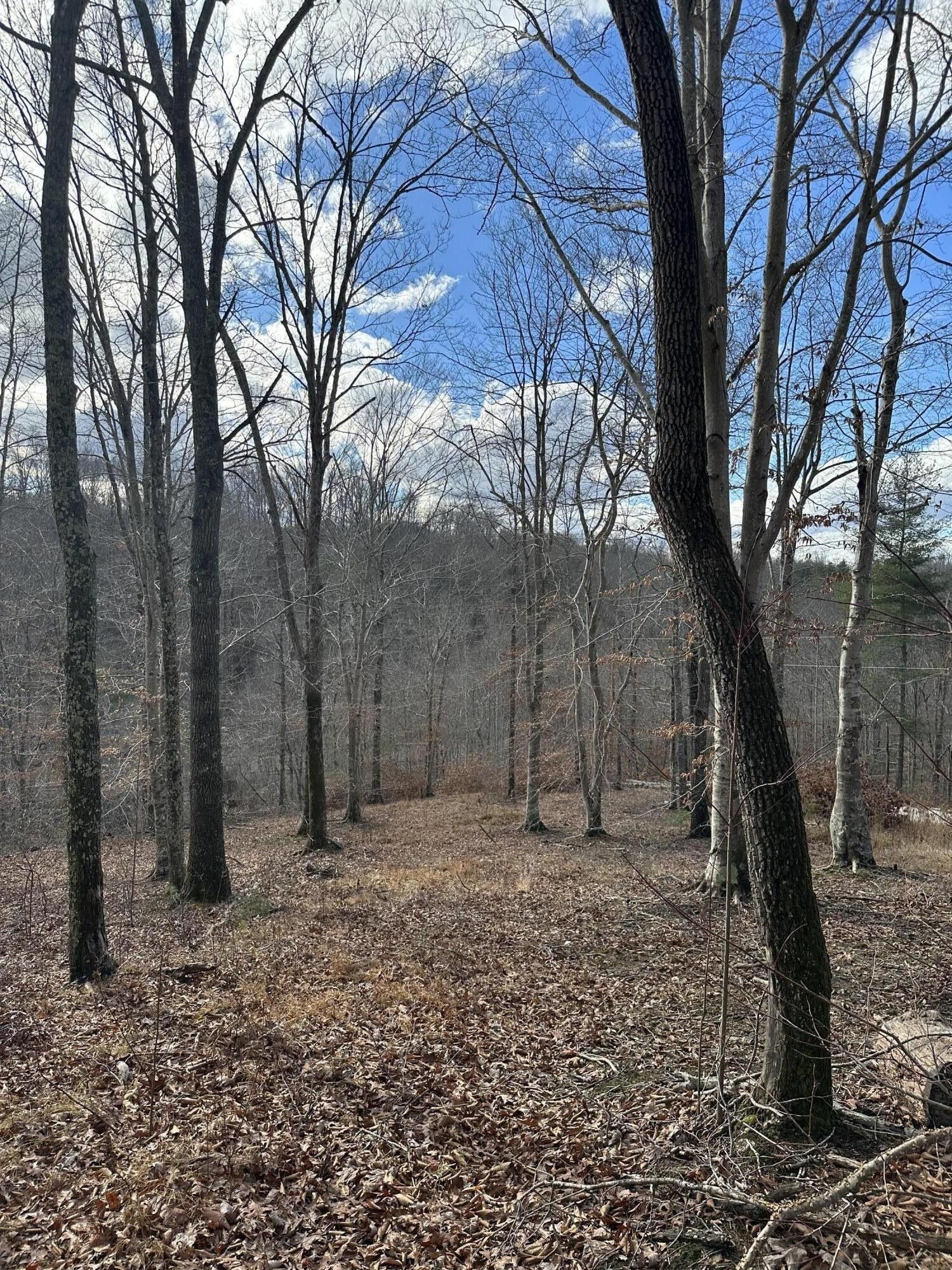 2.35 acres in Wolfe County, Kentucky