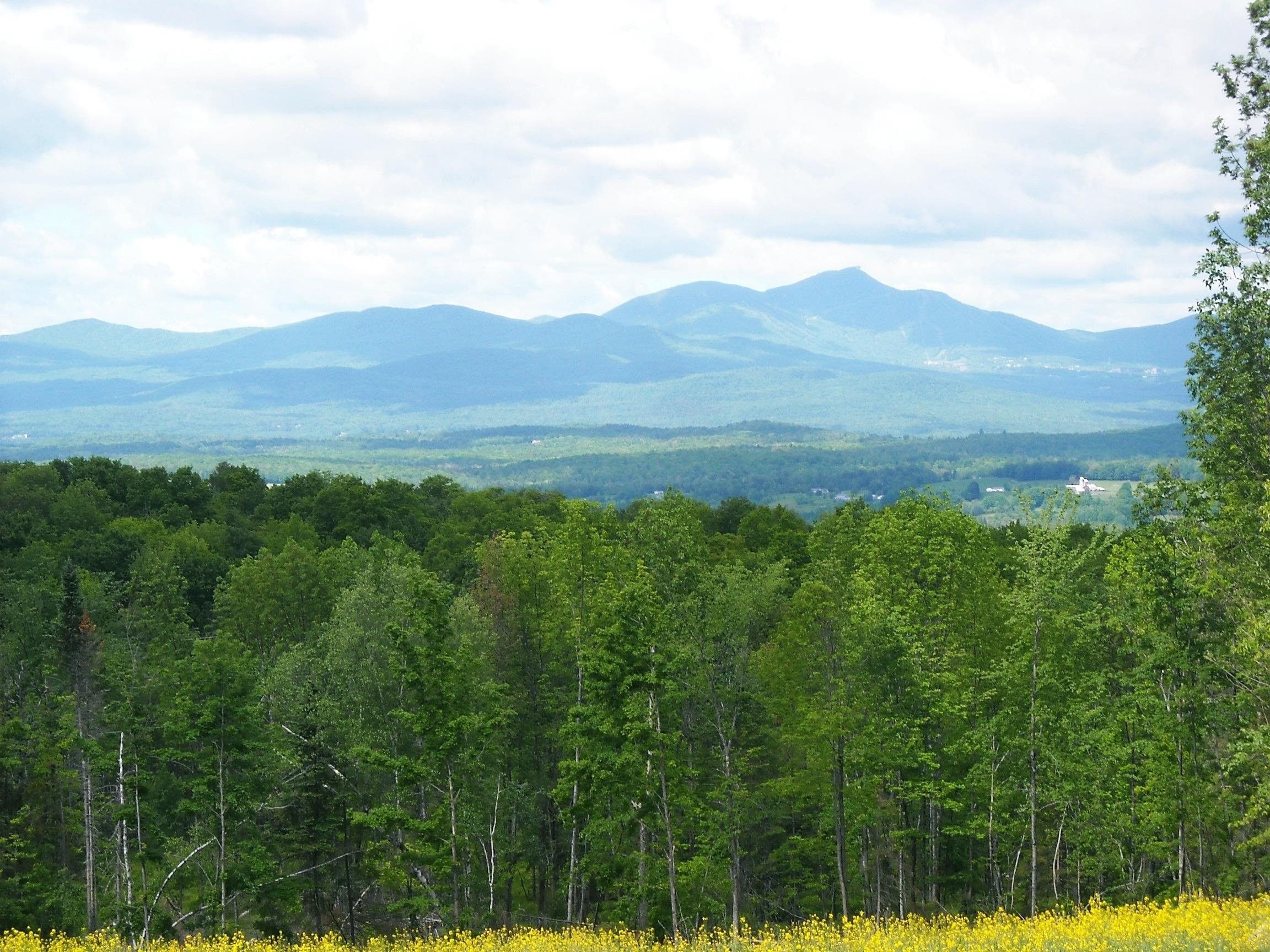 54 acres in Orleans County, Vermont