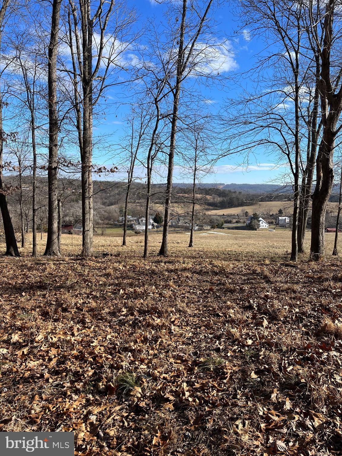 5 acres in Frederick County, Virginia