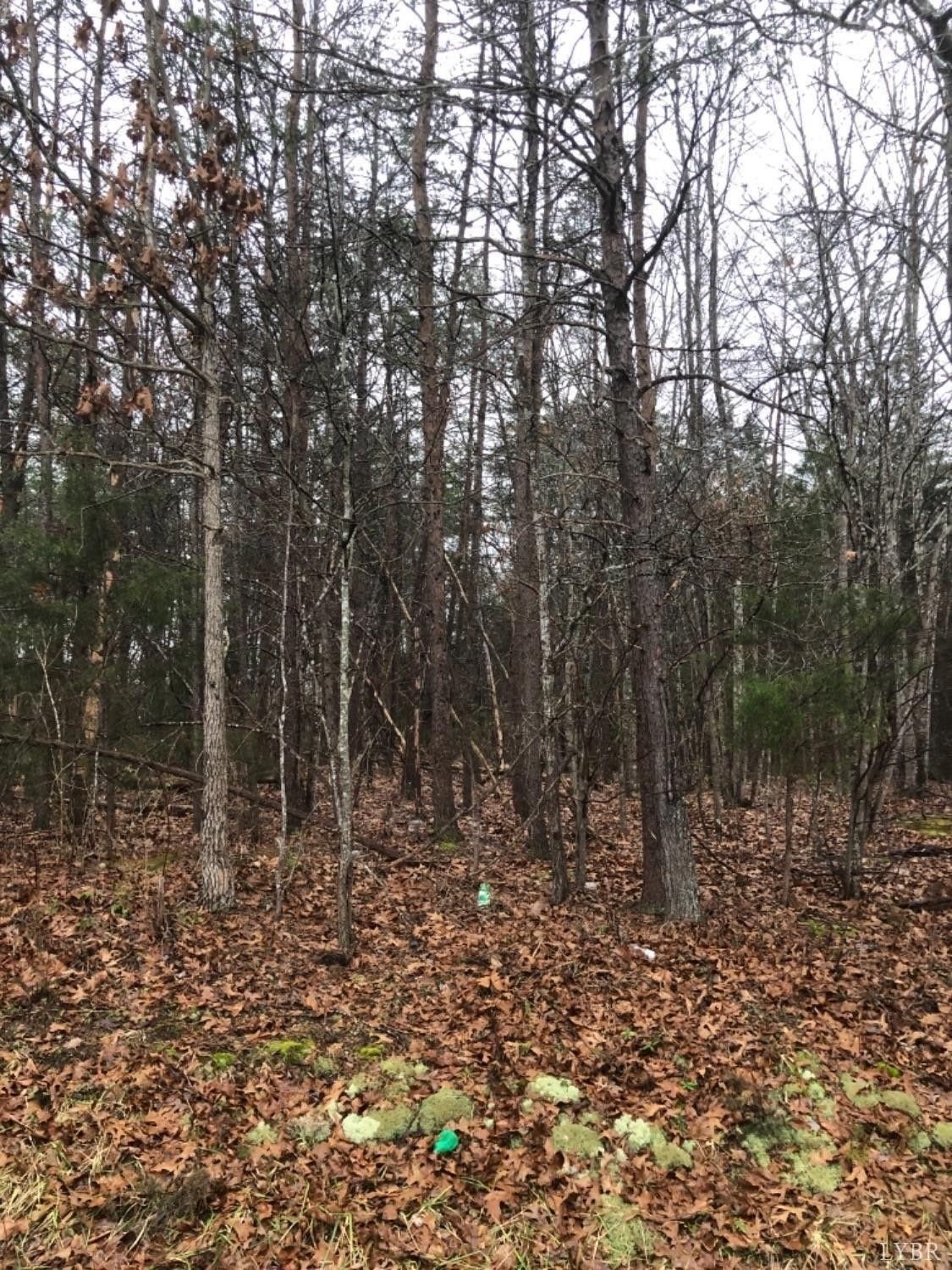 2 acres in Campbell County, Virginia