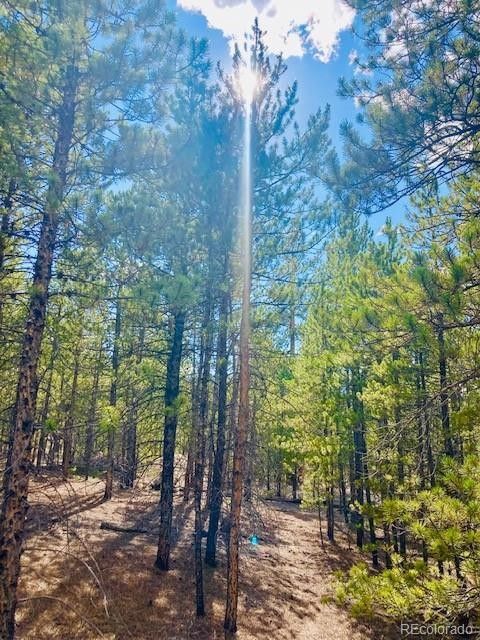 0.3 acres in Lake County, Colorado