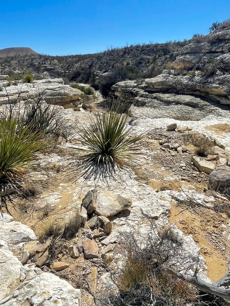 60 acres in Brewster County, Texas