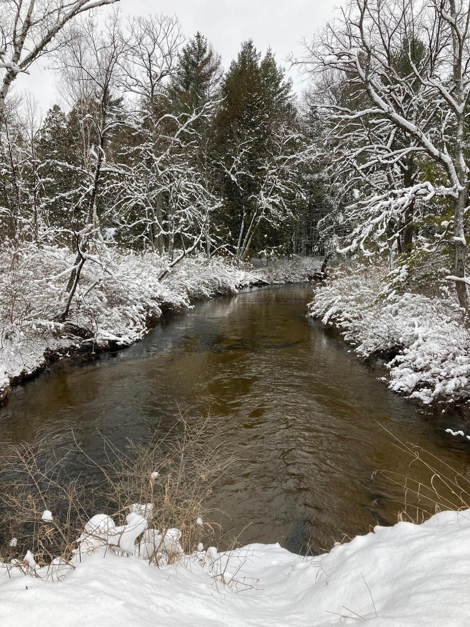 40 acres in Lake County, Michigan