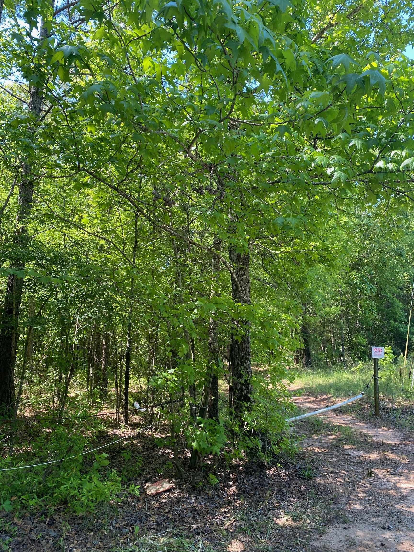 88 acres in Putnam County,