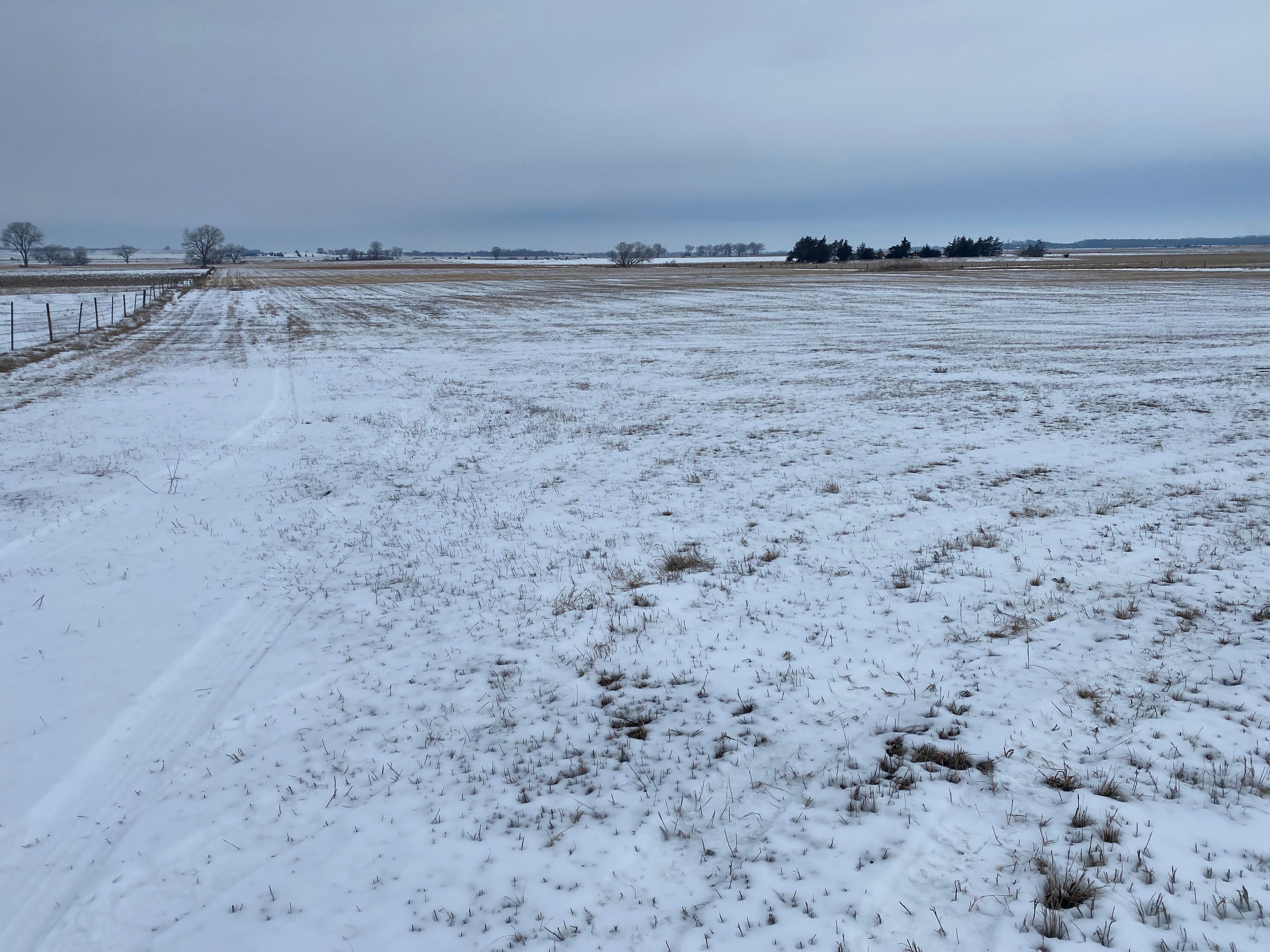200 acres in Pierce County, Nebraska