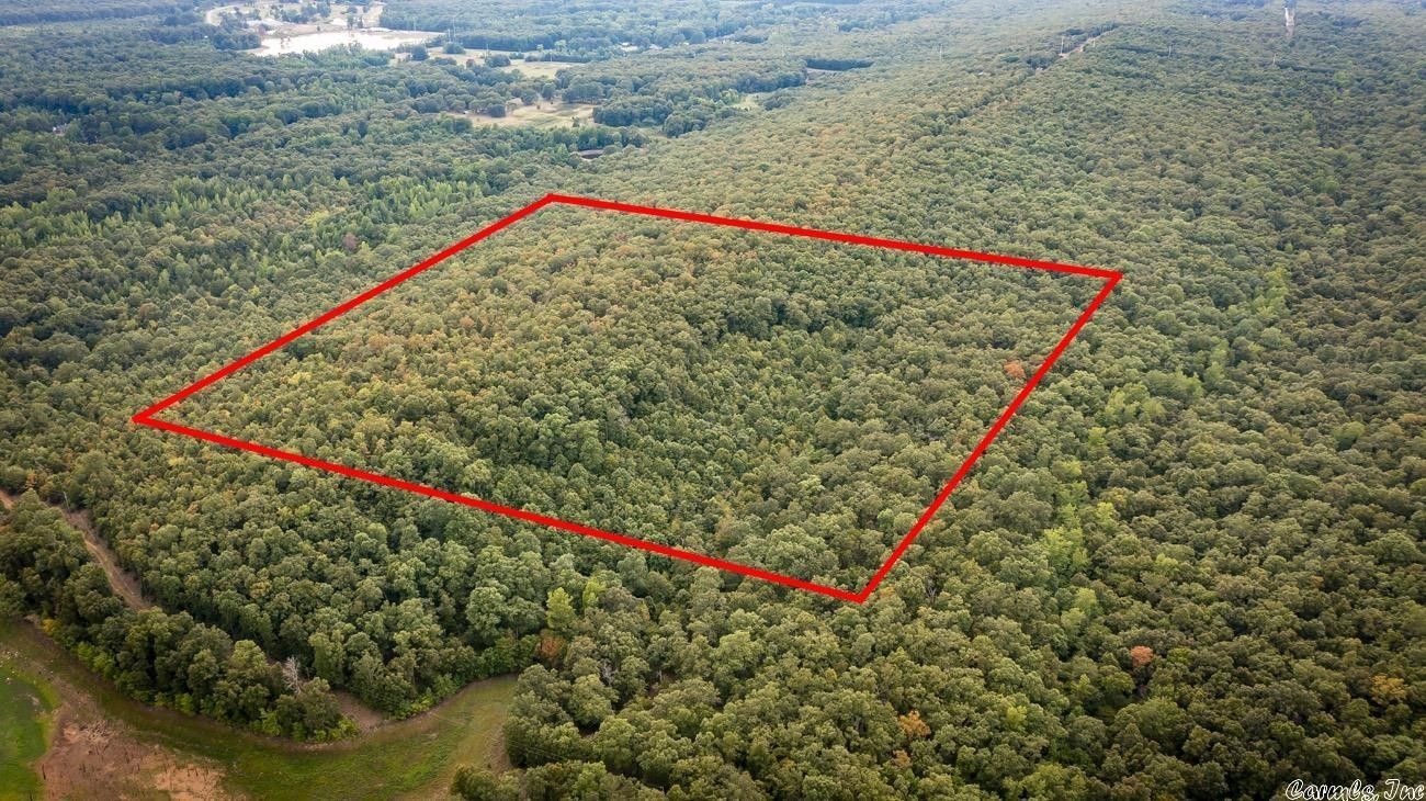 40 acres in Lonoke County, Arkansas