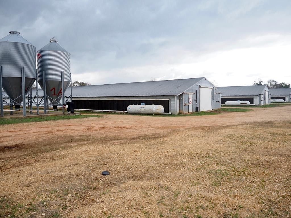 40 acres in Simpson County, Mississippi