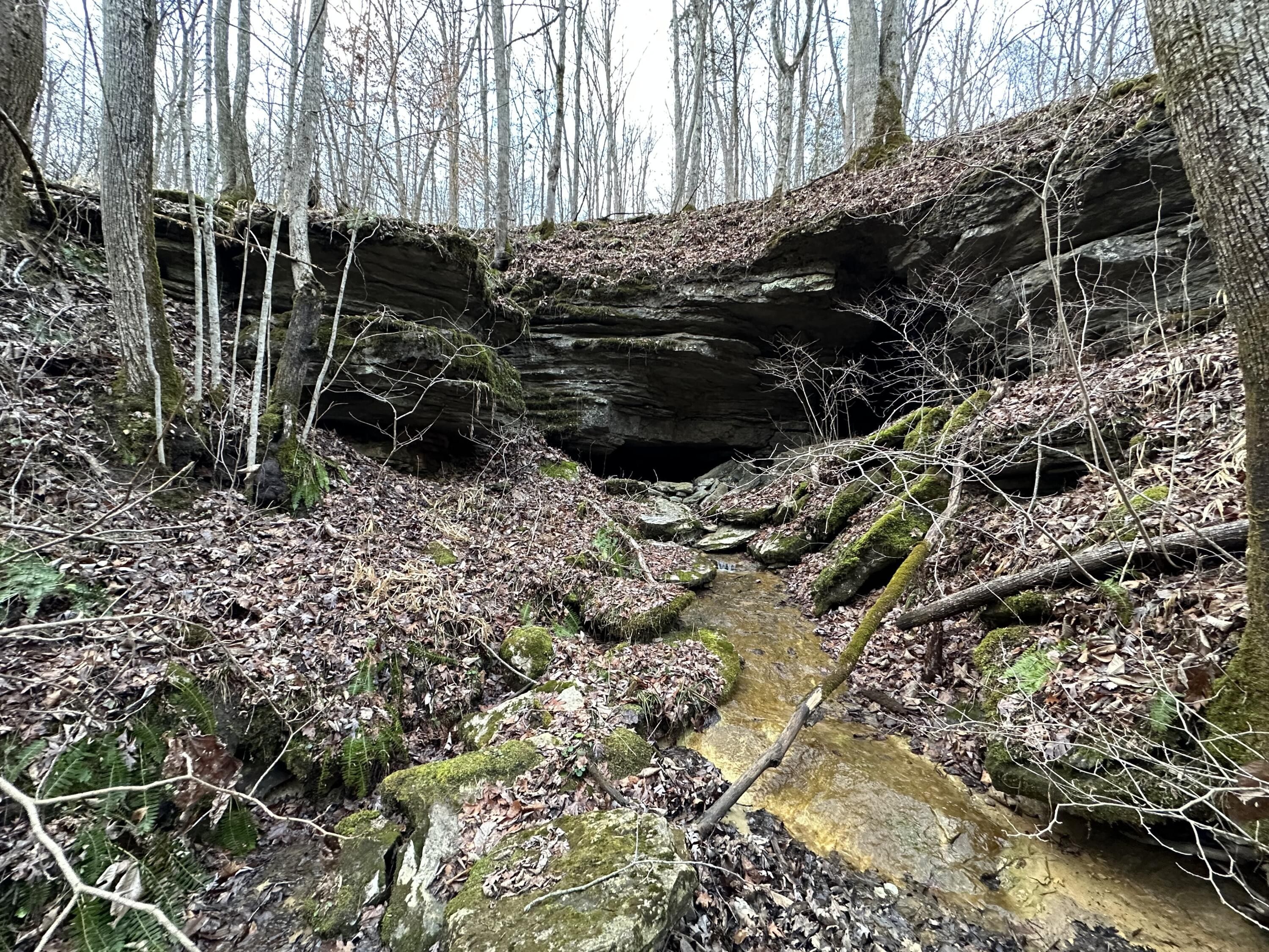 25 acres in Powell County, Kentucky