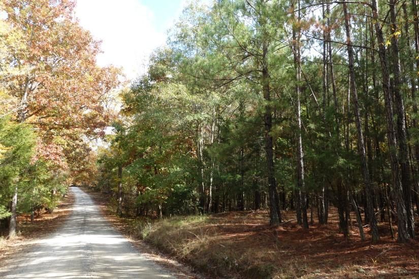 47 acres in Newberry County, South Carolina
