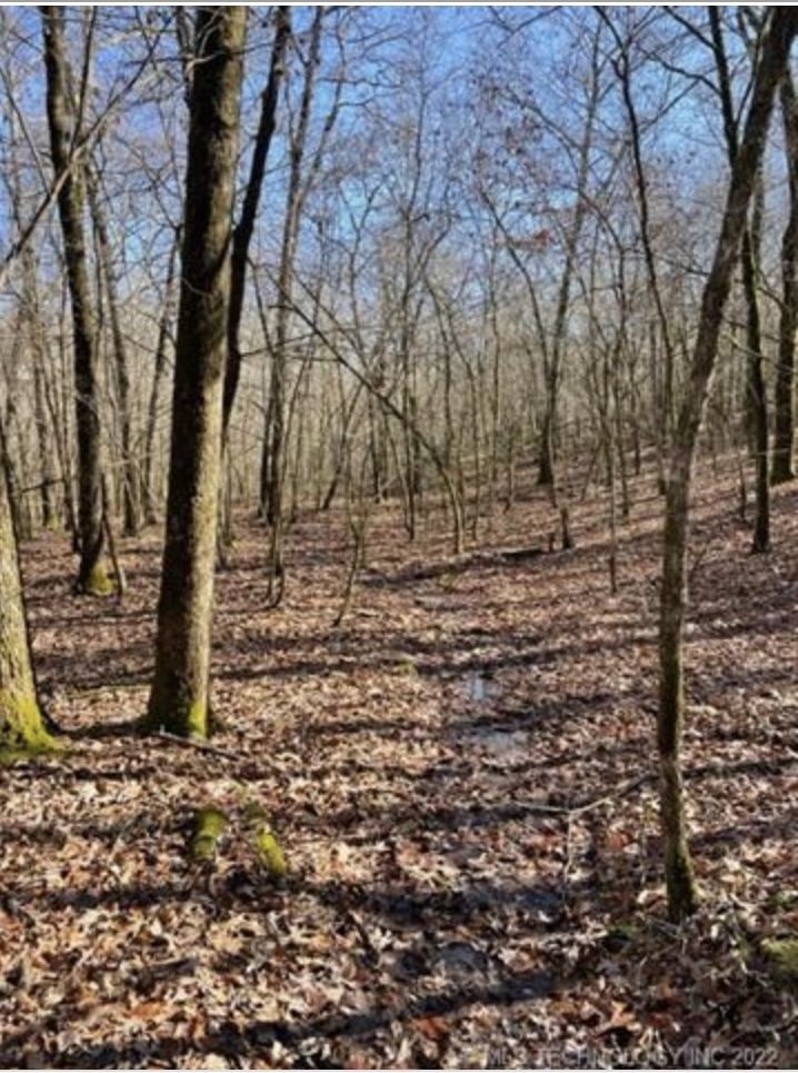 12 acres in McCurtain County, Oklahoma
