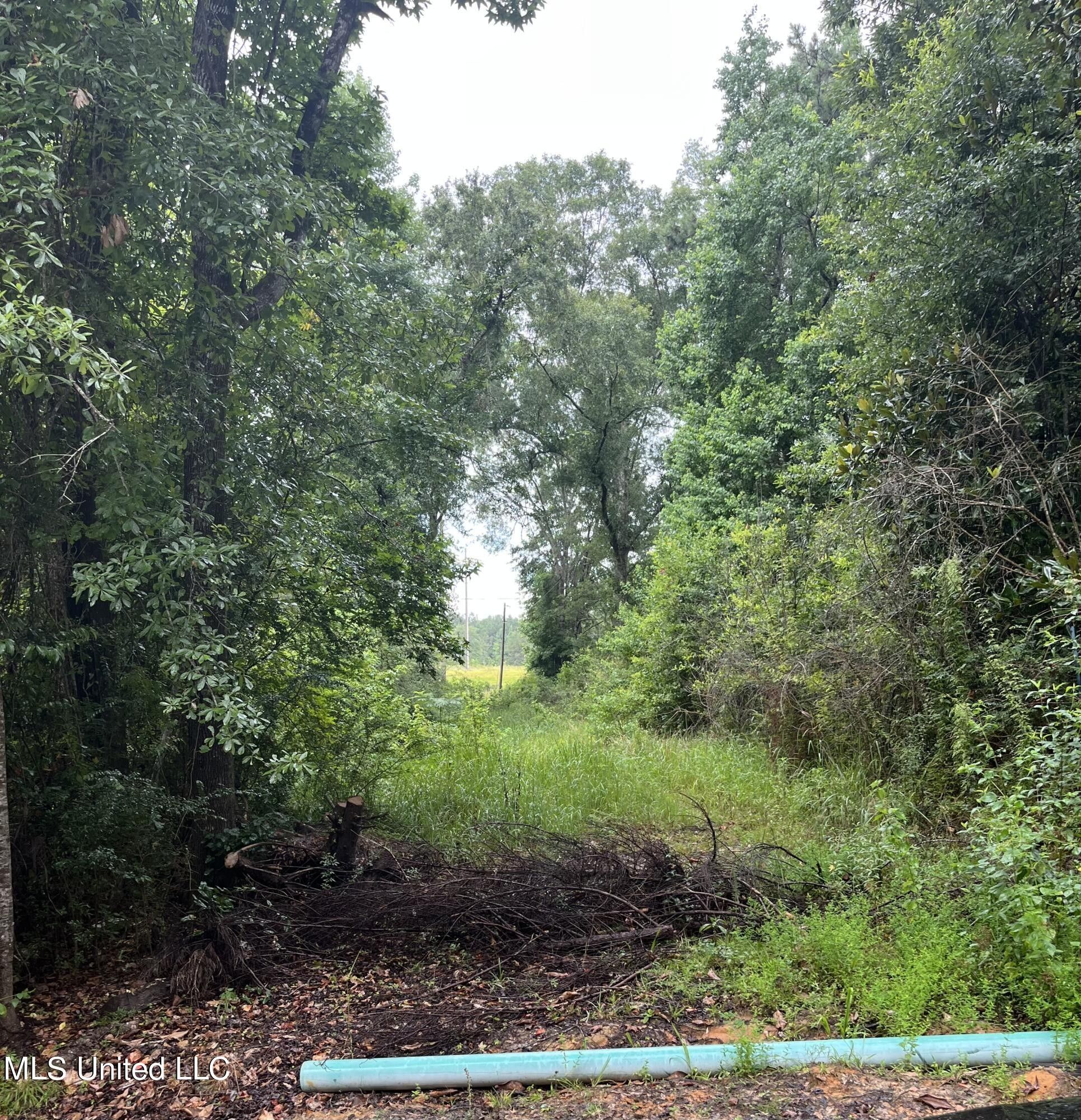 5.5 acres in Jackson County, Mississippi