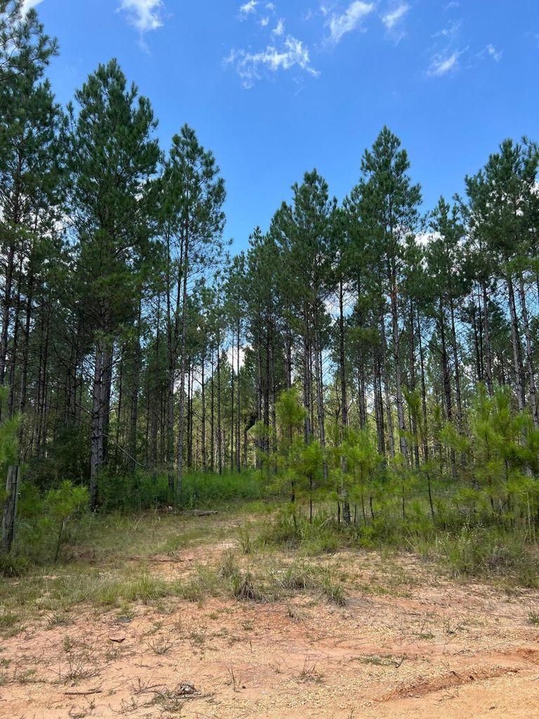 Old River Road, Moselle, MS 39459 MLS 131050