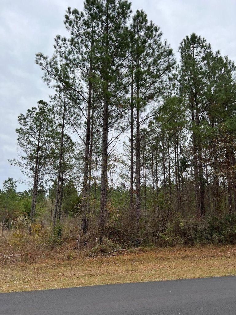 Point Wanita Lake Road, Chunky, MS 39323 MLS 131686