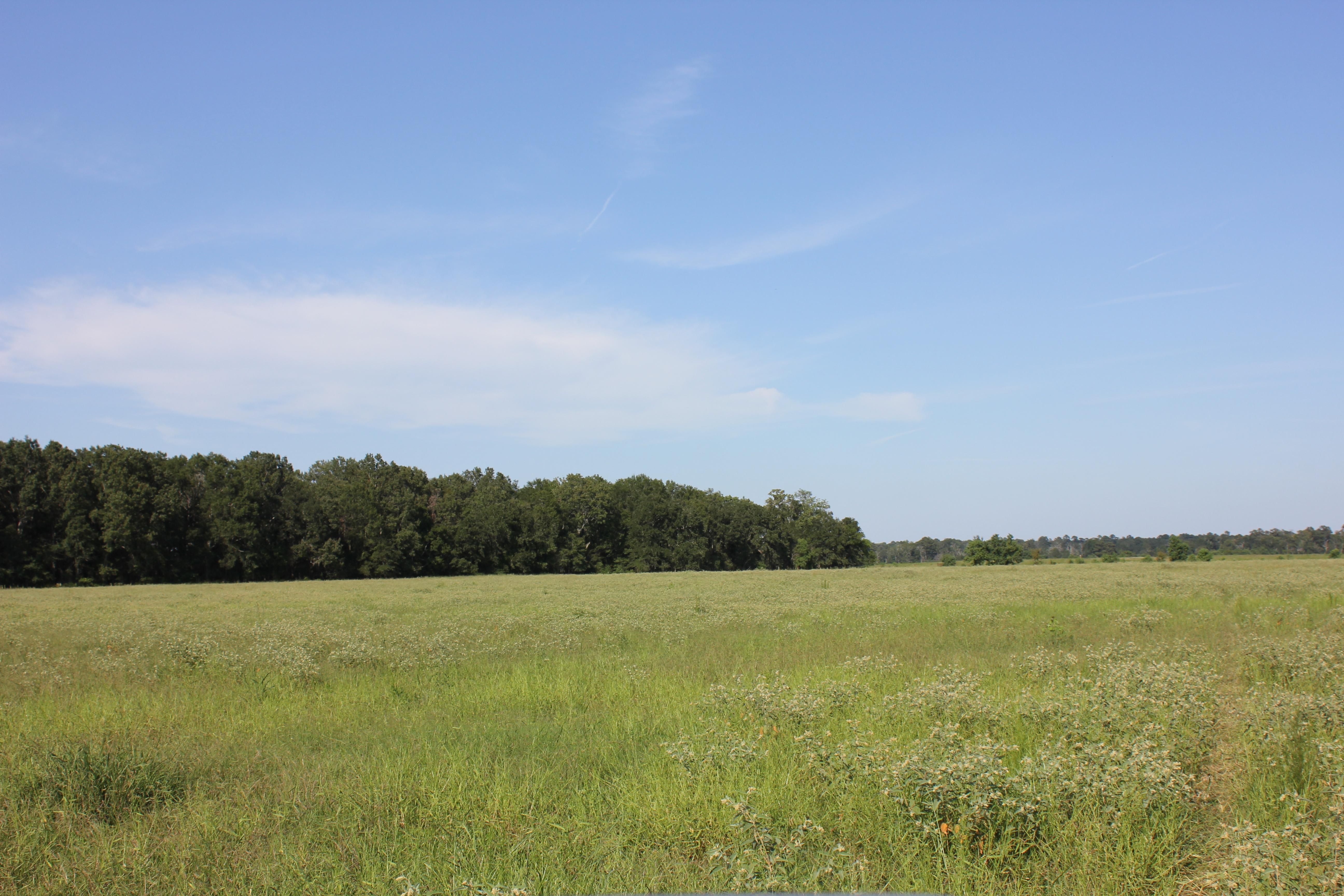 FM 58, Lufkin, TX 75901 MLS 67529