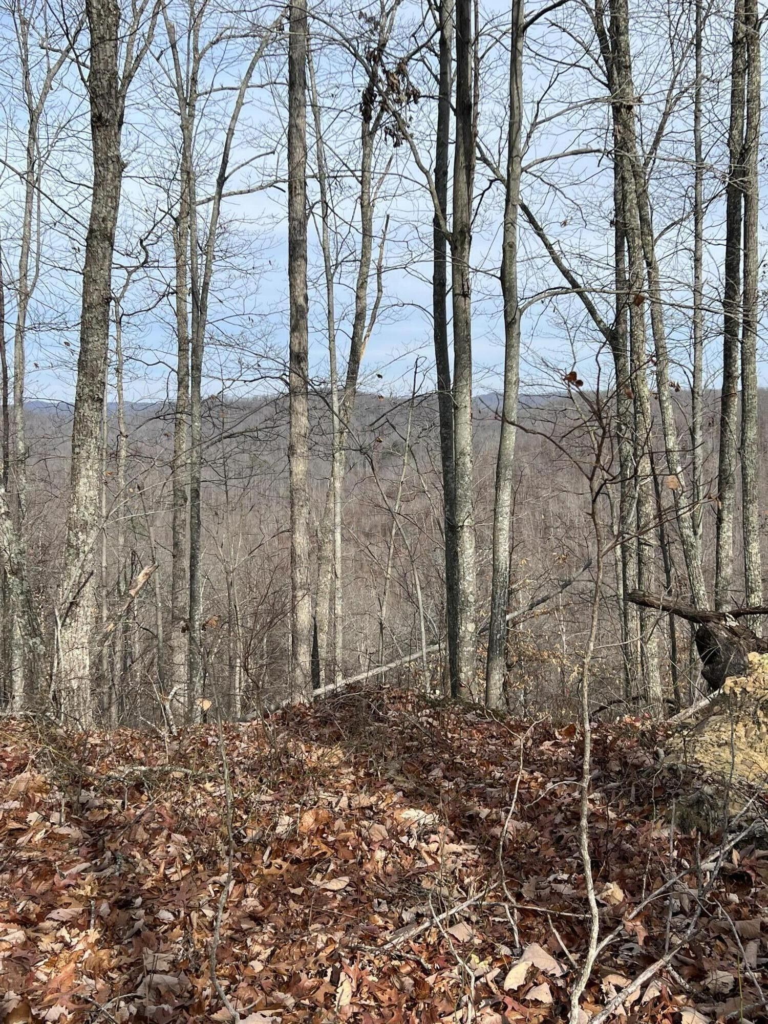 75 acres in County, Kentucky