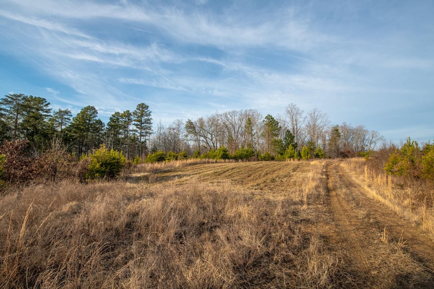 107 acres in Caswell County, North Carolina