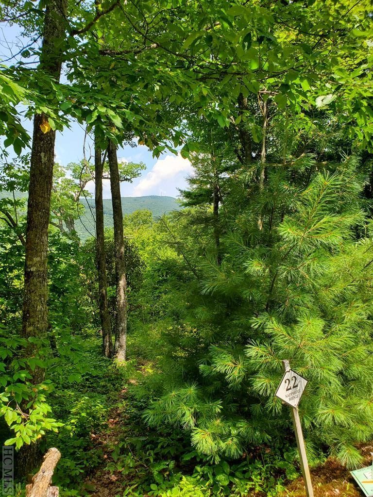 1.7 acres in Jackson County, North Carolina