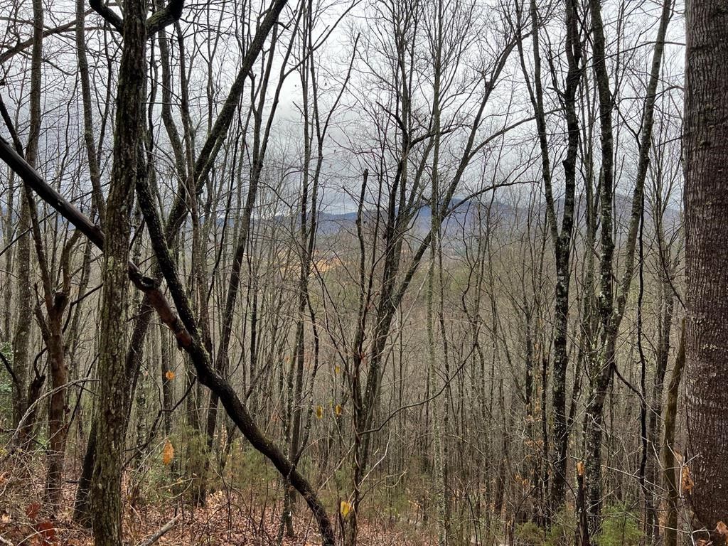 1.04 acres in Macon County, North Carolina