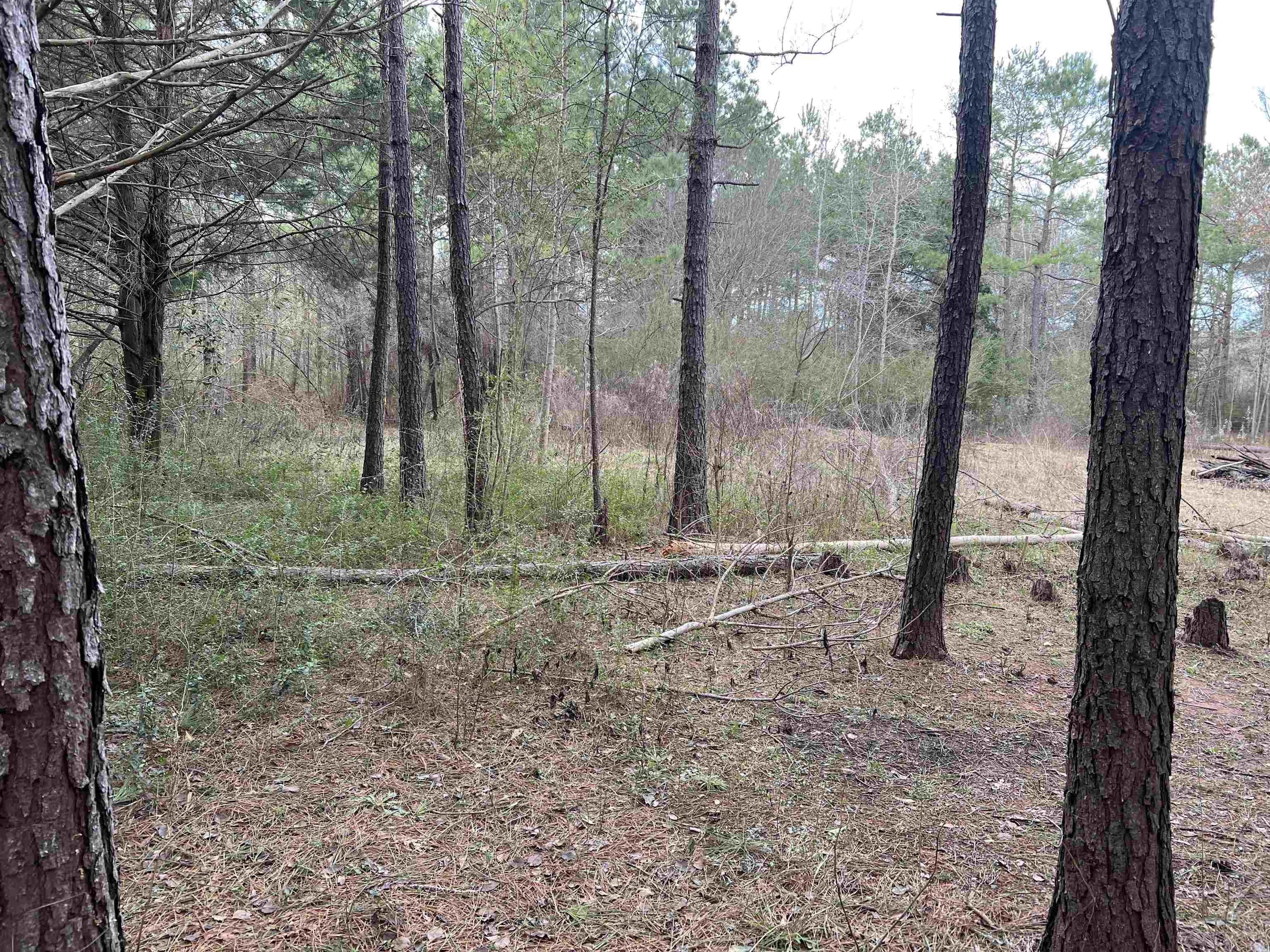 2 acres in Rusk County, Texas