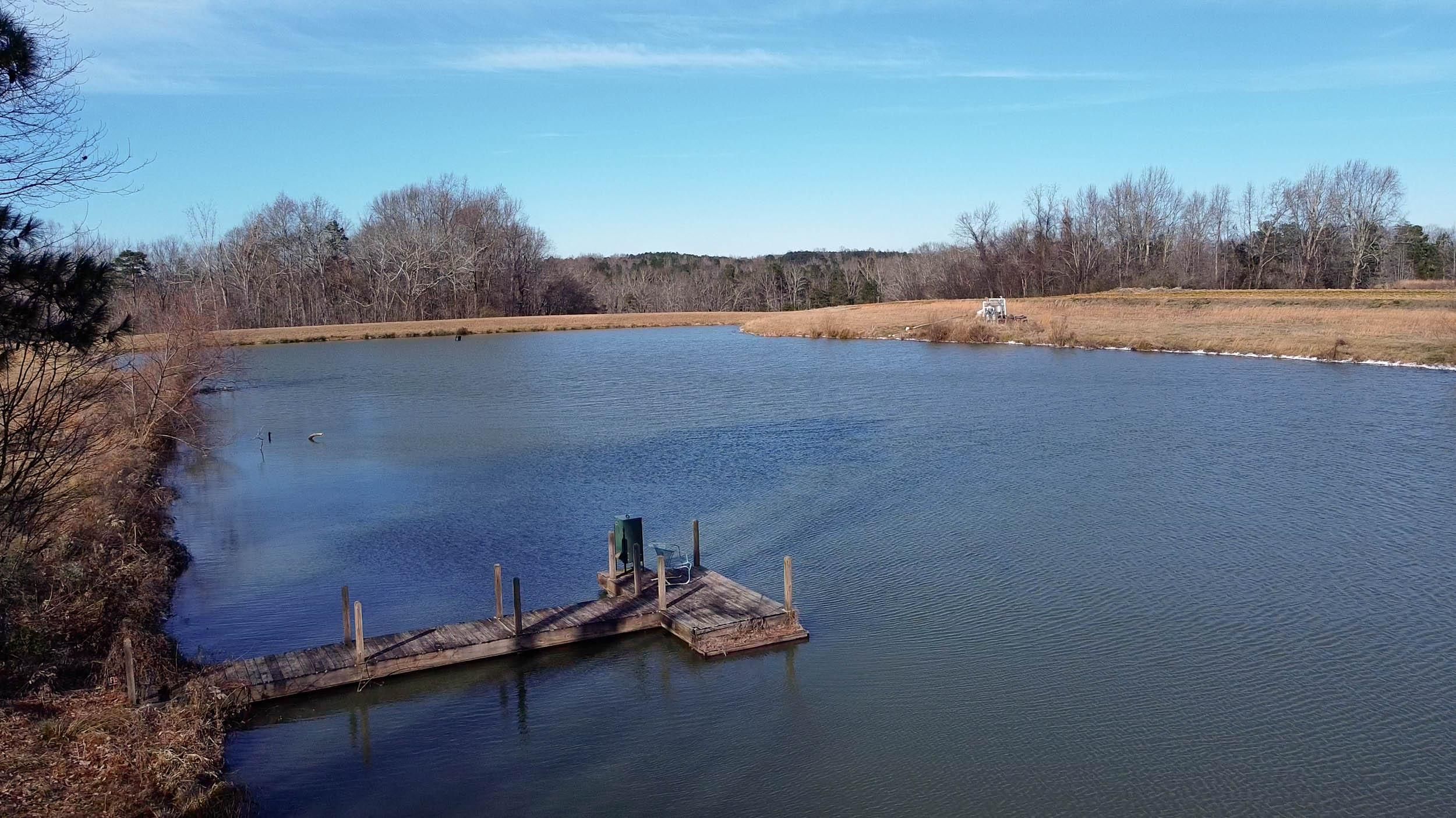 Brothers Rd, Steele, AL 35987