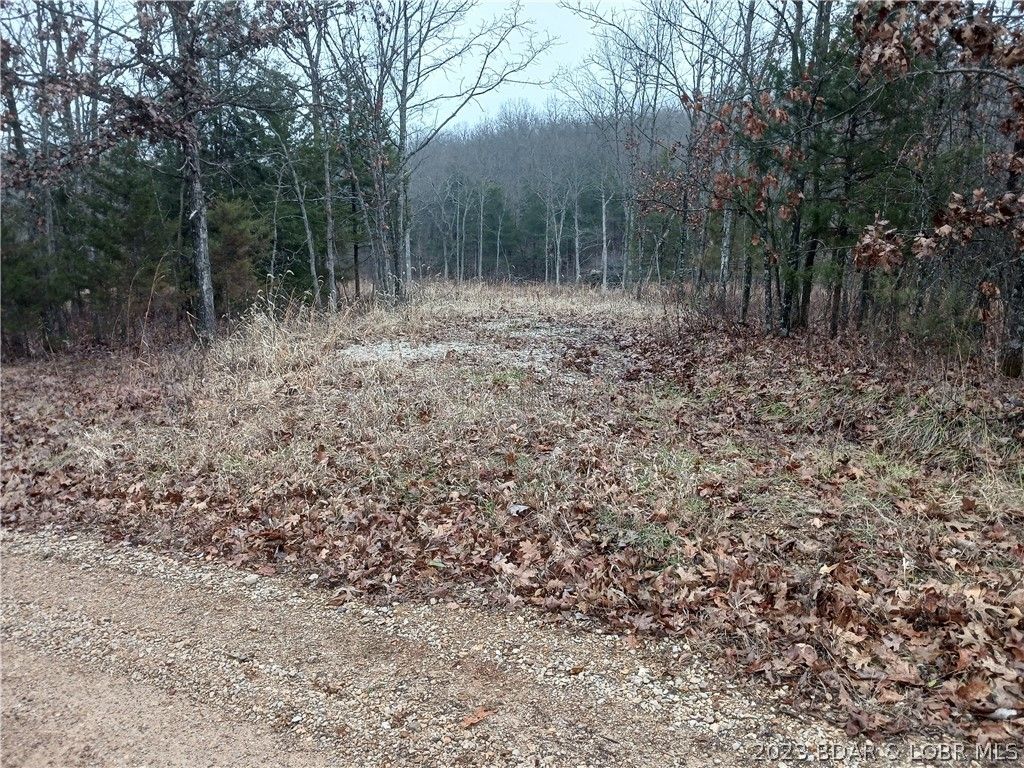 20 acres in County, Missouri
